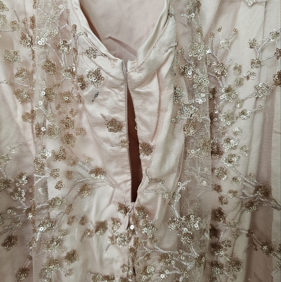 Lulus Blissful Blossoms Blush Pink Mesh Sequin Embroidery Backless Maxi Dress XL - Picture 12 of 13